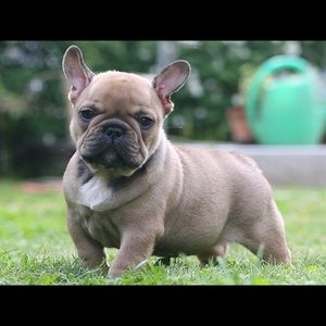 Meet your Posher, Barb